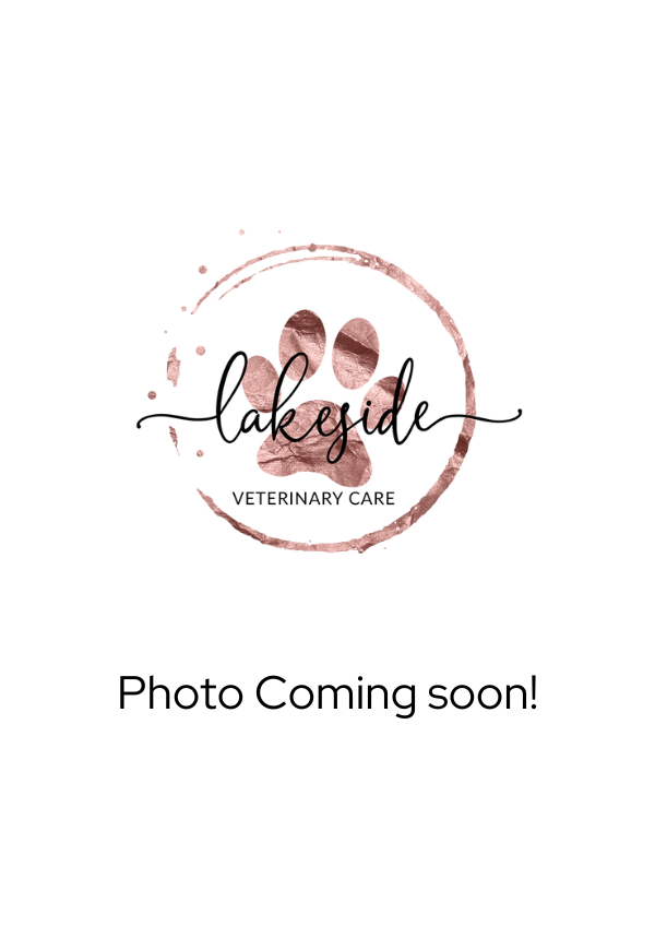 coming soon (7) Lakeside Veterinary Care - Hyllary